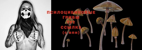 MDMA Новозыбков