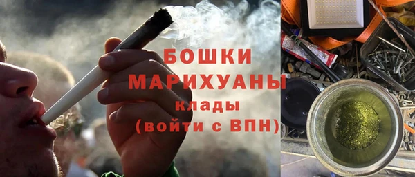 молекула духа Бронницы