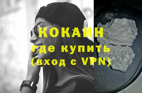 стаф Новокубанск