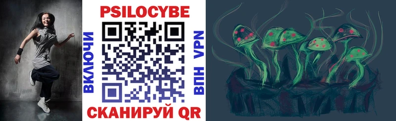 Псилоцибиновые грибы Psilocybe  Грязи 