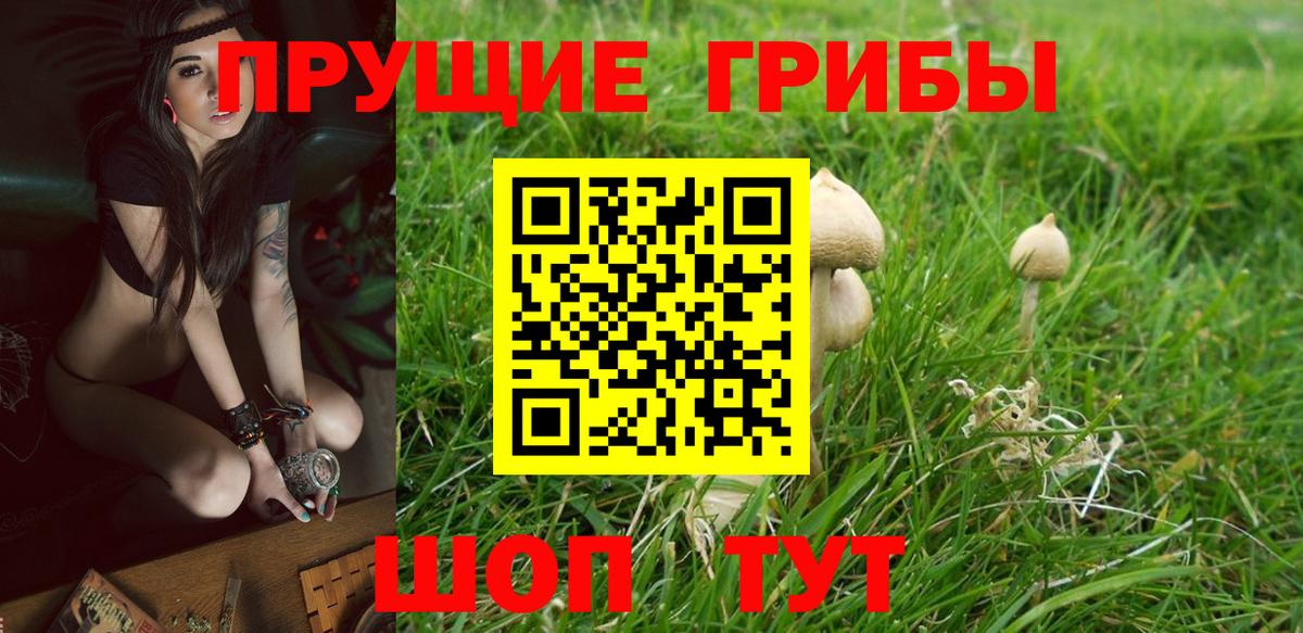Галлюциногенные грибы Psilocybe  Псилоцибиновые грибы Psilocybine cubensis  Грязи  Вход с VPN 