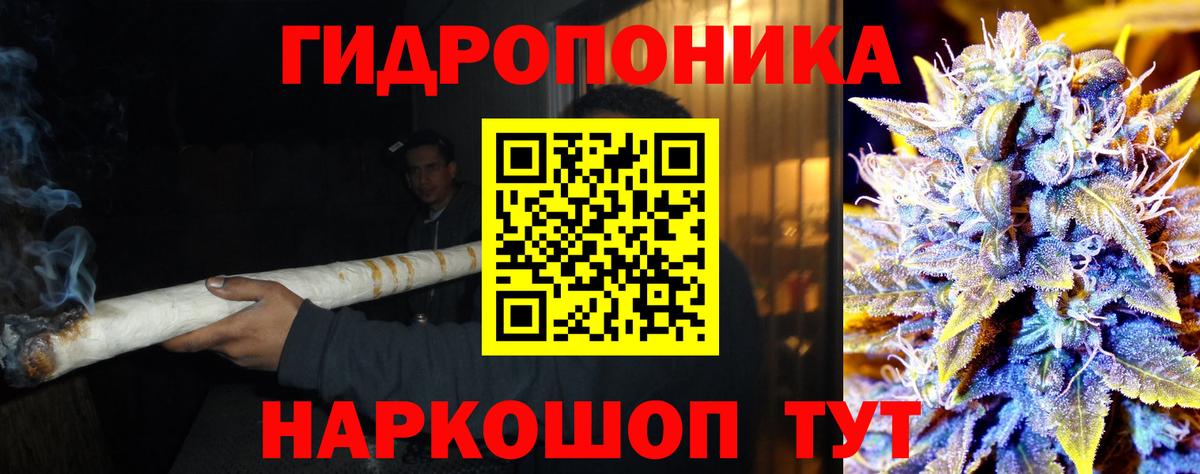 Марихуана планчик  Марихуана LSD WEED  Конопля OG Kush  Марихуана конопля  Грязи 